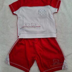 conjunto de calção e blusa 6 meses 100% algodão